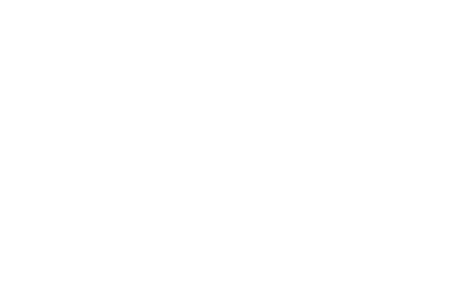 ZMC Logo White